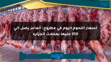أسعار اللحوم اليوم في مطروح: الماعز يصل إلى 350 جنيها بمحلات الجزارة